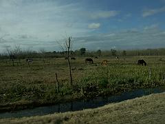090801_Argentina 064